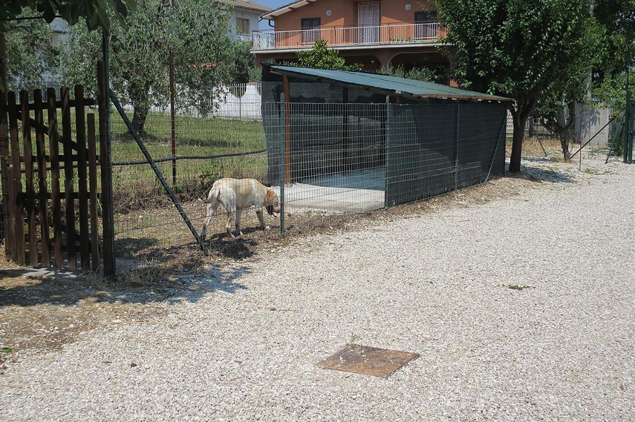 Villa Degli Ulivi Lempa Dış mekan fotoğraf
